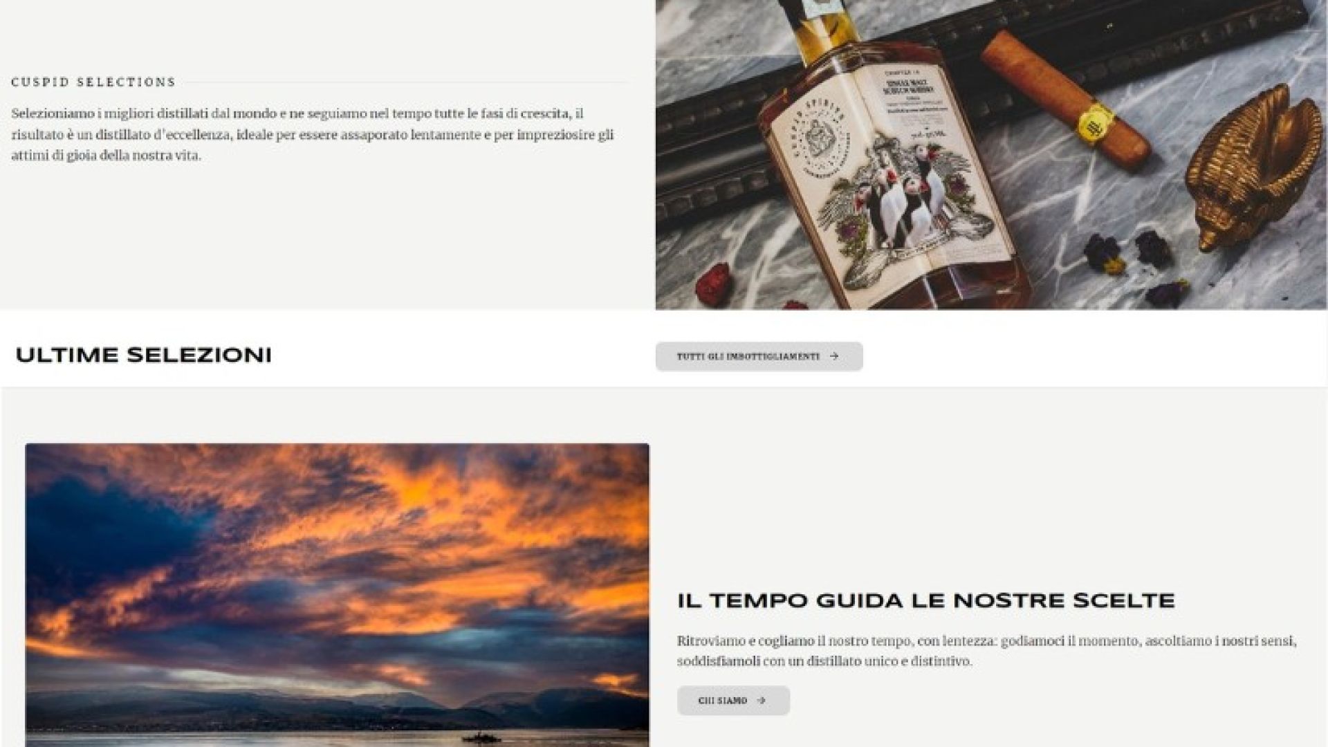 Sito web Cuspid Spirits 01