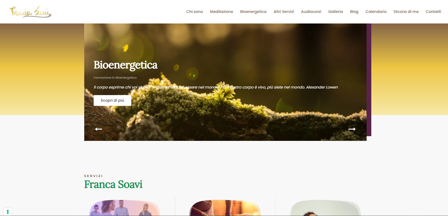 Franca Soavi Sito web