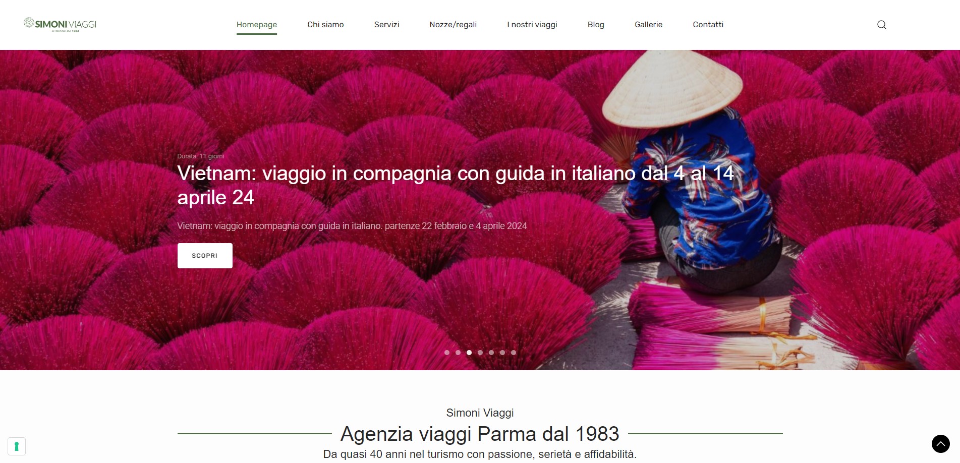 Simoni Viaggi Sito