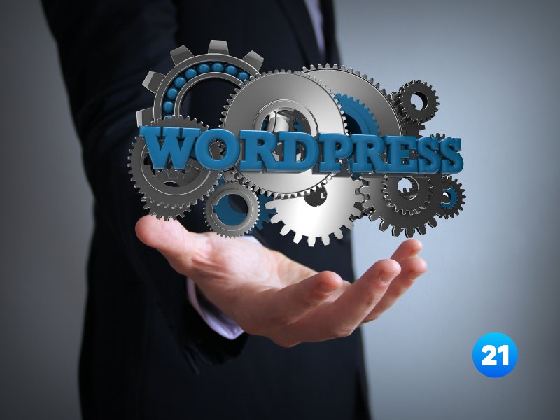 WordPress 6.5: il nuovo aggiornamento