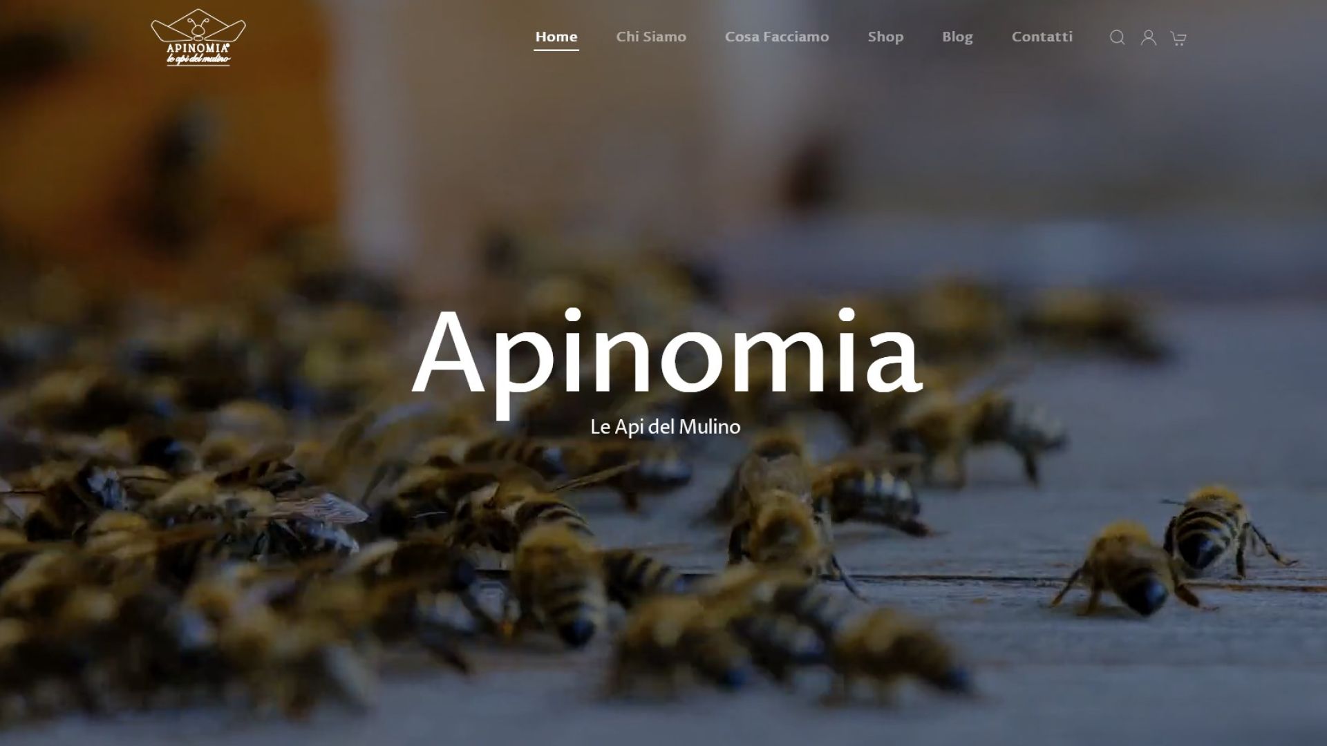 Sito Apinomia 03